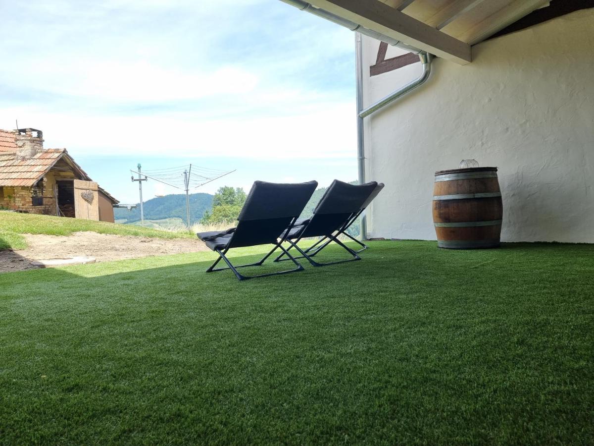 Haus Am Berg Mit Wellnessbereich, Bar Und Panorama Villa Buhlertal Luaran gambar