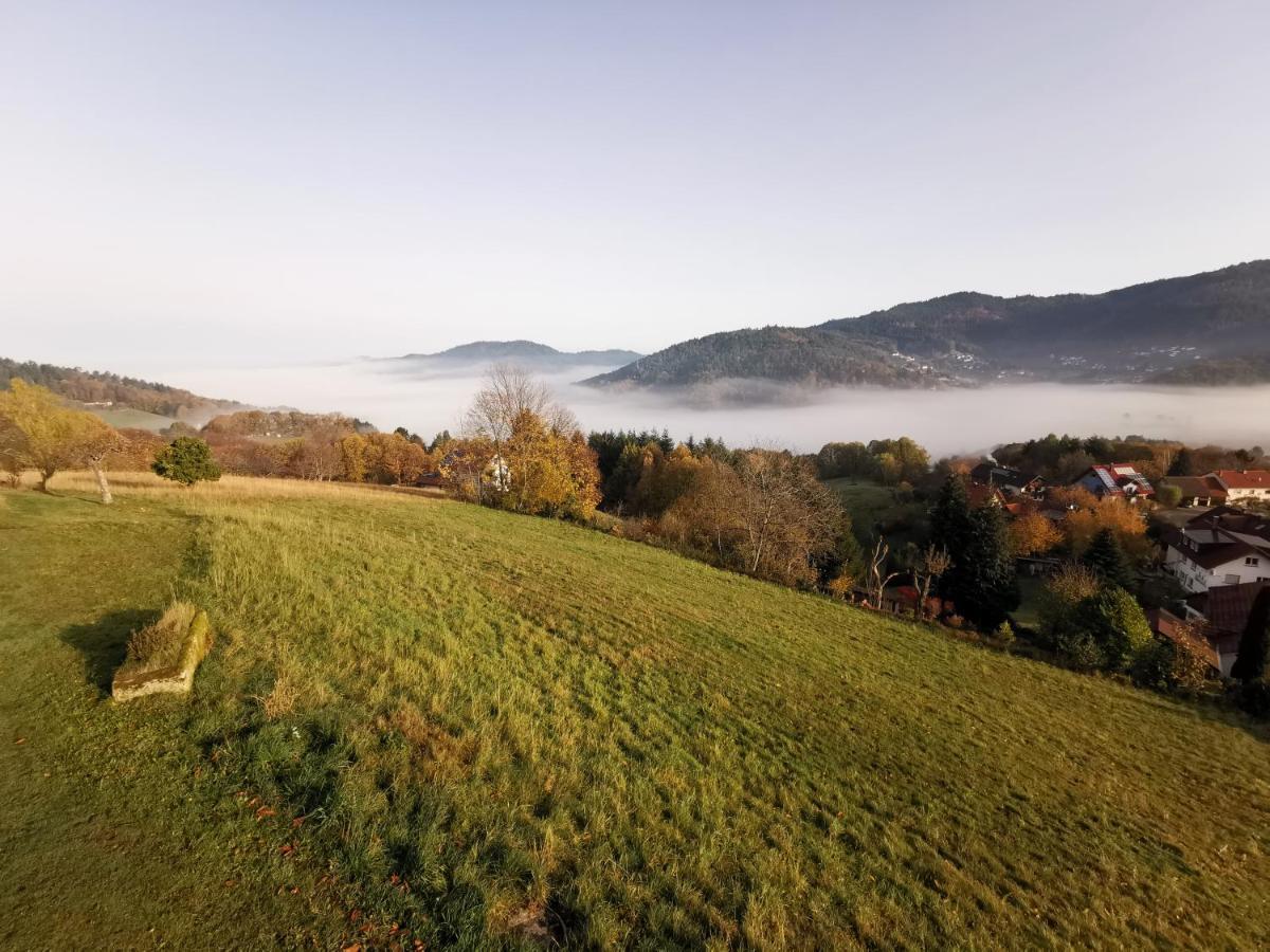 Haus Am Berg Mit Wellnessbereich, Bar Und Panorama Villa Buhlertal Luaran gambar