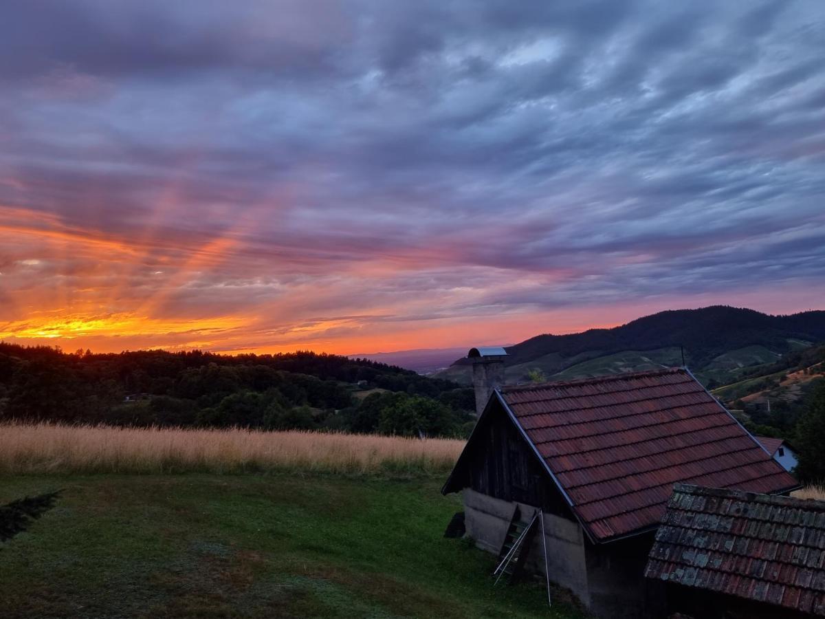 Haus Am Berg Mit Wellnessbereich, Bar Und Panorama Villa Buhlertal Luaran gambar