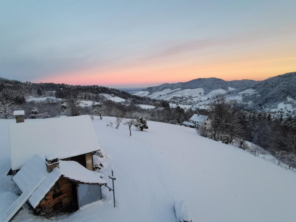 Haus Am Berg Mit Wellnessbereich, Bar Und Panorama Villa Buhlertal Luaran gambar